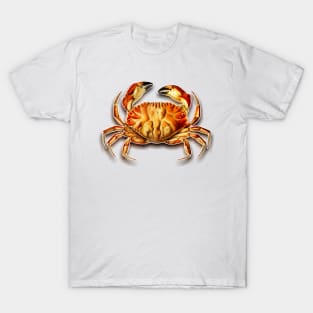 Crab drawing in vintage style T-Shirt